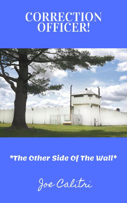 CORRECTION OFFICER: The Other Side Of The Wall