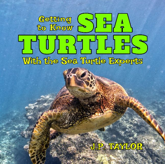 Getting to Know Sea Turtles