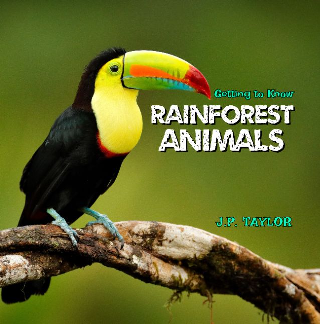 Getting to Know Rainforest Animals